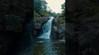 Makkiyad Meenmutty Water Falls #wayanad #koromehills #waterfalls