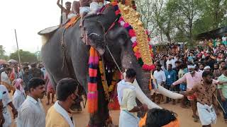 Cherampattapooram2021/ചേറമ്പറ്റ ചളവറ ചേറമ്പറ്റ പൂരം /CHERAMPATTA POORAM