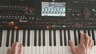 Loverboy - Idealni (Danekoo1 \u0026 Instrumental Korg Pa4x)