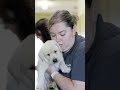 A quick recap of Episode 1 of Born To Lead 🦮♥️🐕 #GuideDogsAustralia #BornToLead #PETstock