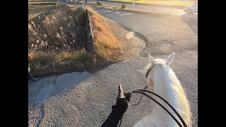 乗馬 / Horseriding：のんびりと馬に乗って散歩 ！ - GoPro -   We took a stroll on a horseback 【Vlog #7】