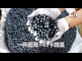 5種高熱量水果 食太多變肥仔