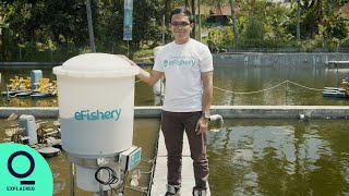 How a Passion for Fish Farming Became a Booming Business
