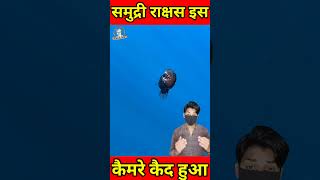 कैमरे में कैद हुआ काला समुद्री राक्षस #shorts #fish