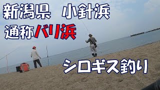 新潟県の砂浜・通称「バリ浜」でシロギス釣り