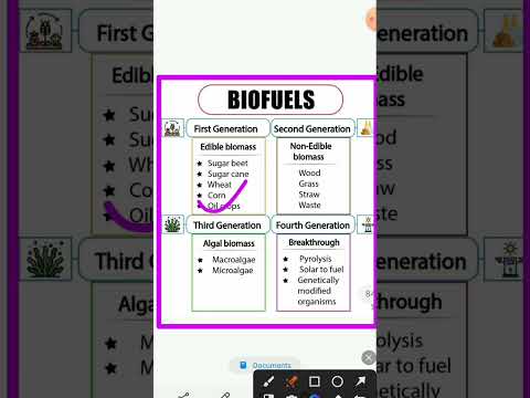 What are the 2 main types of biofuels?