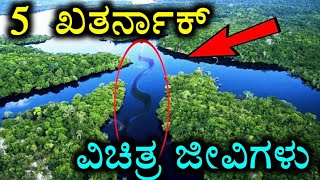 ಸಮುದ್ರದ ಆಳದಲ್ಲಿನ 5 ಖತರ್ನಾಕ್ ಪ್ರಾಣಿಗಳು - 5 Biggest Sea animals of all time ( kannada )