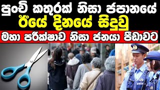 පුංචි කතුරක් නිසා ජපානයේ සිදුවු මහා කලබගෑනිය/today japan news