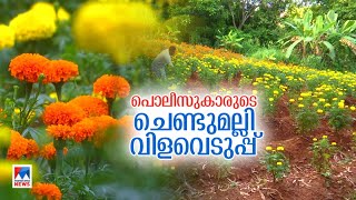 ചെണ്ടുമല്ലി തൈകള്‍ നട്ട് പൊലീസുകാര്‍; കെഎപി ക്യാംപില്‍ പൂപ്പാടം |palakkad police| flower cultivatio