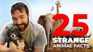 25 Strange Animal Facts