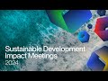 Welcome to the Sustainable Development Impact Meetings 2024