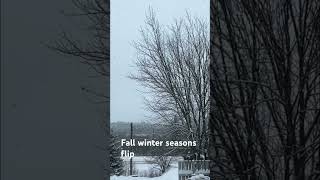 🍂❄️ #SeasonalShift #canada #fall #winter #flip