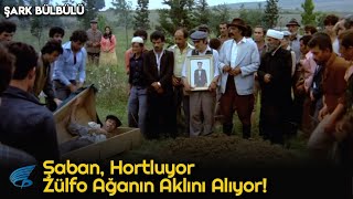 Şark Bülbülü Türk Filmi | Şaban Hortluyor, Zülfo Ağanın Aklını Alıyor!