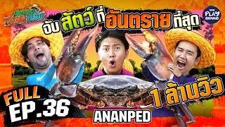 Ananped แหย่รูปู จับปูดำ | เฮ็ดอย่างเซียนหรั่ง FULL EP.36 | One Playground