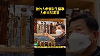 他的人参酒发生怪事，人生突然发芽 #shorts #奇闻趣事 #趣事