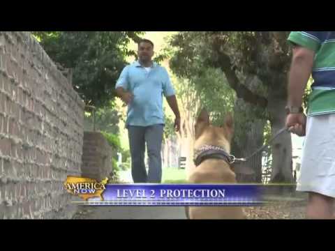 CHOOSING A DOG FOR SECURITY & DEFENSE CHOOSING A DOG FOR SECURITY & DEFENSE