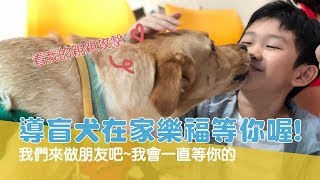 【校外宣導特輯】導盲犬在家樂福等你喔! 我們來做朋友吧~