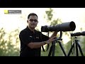 nikonclub thailand tutorials advanced photography ตอนที่ 23 เทคนิคการใช้เลนส์ถ่ายถาพสัตว์ป่า