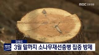 [단신] 3월 말까지 소나무재선충병 집중 방제 200101