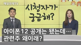 [긴급점검] 아이폰12 공개는 됐는데...관련주 왜이래? / 시청자가 궁금해 / 매일경제TV