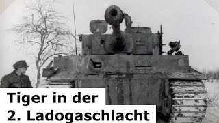 Der Tiger im Kampf / Ladogaschlacht