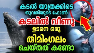 കടൽ യാത്രക്കിടെ യുവതിയുടെ ഫോൺ  കടലിൽ വീണു ഉടനെ ഒരു തിമിംഗലം ചെയ്തത് കണ്ടോ