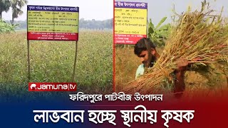 ফরিদপুরে পাটবীজ উৎপাদনে সফলতা, লাভবান হচ্ছেন কৃষকরা | Faridpur | Jute Seeds | Jamuna TV