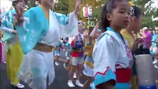 みんなで阿波踊り（南越谷阿波踊り）／綾瀬川右岸♪踊るんよさこい会場／草加ふささら祭り 『 踊るん♪よさこい2017 』