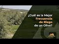 Frecuencia de Riego del Olivo