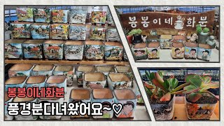 9월7일#봉봉이네화분#다육화분#수제공방분#풍경분올라갑니다~^^5만이상택배무료