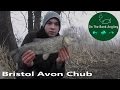 Bristol Avon Winter Chub Fishing