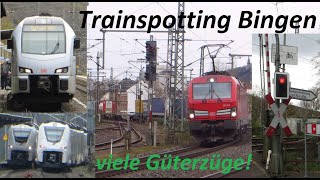 Trainspotting Bingen Hbf | 193, 185, 101 Pride, 460, Mireo, 429, 187, viele Güterzüge | jamobatv21