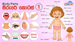 Parts of the body in Sinhala \u0026 English - Sirure kotas