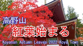 紅葉が始まった高野山散策　2022　和歌山県高野山町　Koyasan where autumn leaves have begun 2022 Koyasan Town, Wakayama Japan