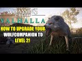 HOW TO UPGRADE YOUR WOLF COMPANION SKILL TO LEVEL 2 IN ASSASSINS CREED VALHALLA!