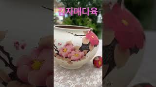 달숲 항아리분#김자매다육 #succulent #다육식물 #수제화분 #대전다육집