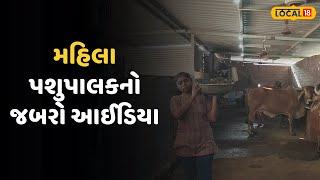 Amreli News | મહિલા પશુપાલકનો જબરો આઈડિયા, ગાયનું દૂધ નહીં, આ વસ્તુ વેચી કરે છે કમાણી |Local18