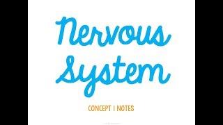 Unit 3 Control and Coordination Concept 1 Notes