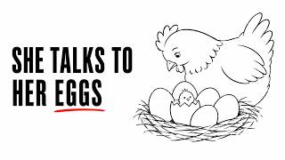 The Mind-Bending Truth About Chicken Intelligence