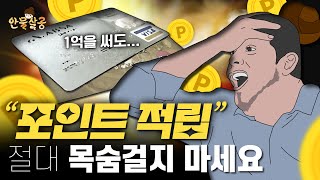 한 곳에서만 적립하면 호구?ㅣ가장 유리한 포인트 적립 방법ㅣ안물살궁