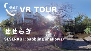 [360 VR TOUR] SESERAGI (babbling shallows) - Mishima City, Shizuoka, Japan / せせらぎ, 三島市