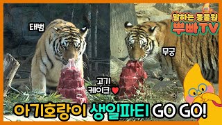 Happy birthday, adorable baby tigers!