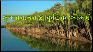 সুন্দরবনের প্রাকৃতিক সৌন্দর্য