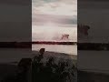 Godzilla Spotted in Barbados 2024 | real life godzilla #shorts #godzilla #vfx #godzillavskong