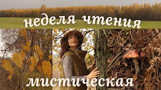 Мистические книги осени🍂 Ходящие в ночи🦇, осенние сериалы | Cozy autumn, cottagecore and goblincore