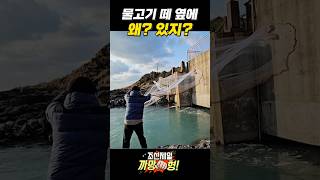 물고기 떼 투망 낚시 그런데 옆에! #fishing #낚시 #바다