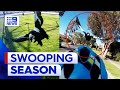 Man in need of eye surgery after being swooped by magpie | 9 News Australia