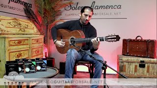 Javier Castaño 2024 (Sequoia) flamenco guitar for sale played by José Andrés Cortés