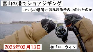 2025年02月13日 富山のいつもの場所でショアジギング 強風＆超激渋の中釣れたのか