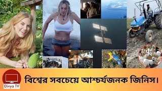 বিজ্ঞানীরা অবাক হয়ে গেছেন যে আশ্চর্যজনক জিনিস গুলো দেখে! Check Out The Amazing Things | Divya Tv |